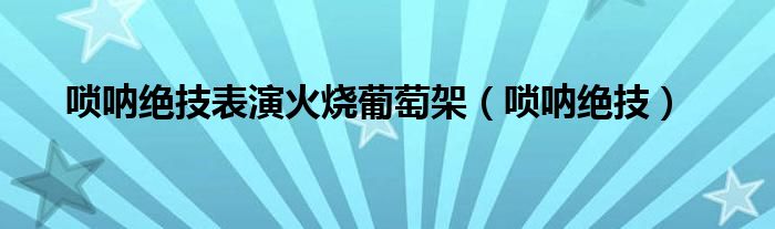 唢呐绝技表演火烧葡萄架（唢呐绝技）