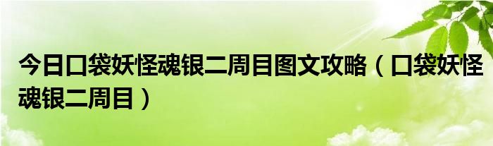 今日口袋妖怪魂银二周目图文攻略（口袋妖怪魂银二周目）