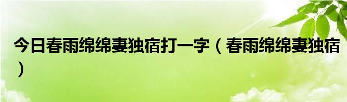 今日春雨绵绵妻独宿打一字（春雨绵绵妻独宿）