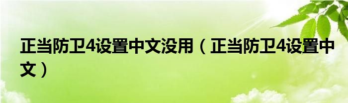 正当防卫4设置中文没用（正当防卫4设置中文）