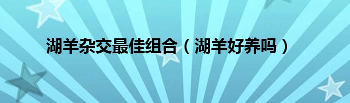 湖羊杂交最佳组合（湖羊好养吗）