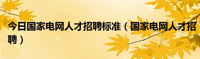 今日国家电网人才招聘标准（国家电网人才招聘）