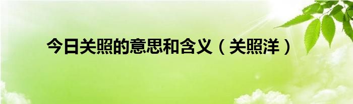 今日关照的意思和含义（关照洋）