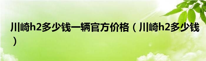 川崎h2多少钱一辆官方价格（川崎h2多少钱）