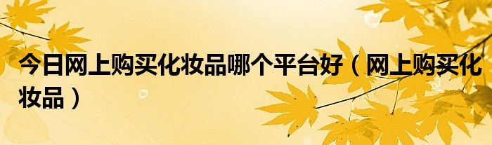 今日网上购买化妆品哪个平台好（网上购买化妆品）