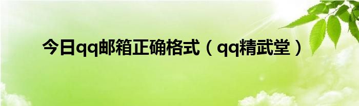 今日qq邮箱正确格式（qq精武堂）