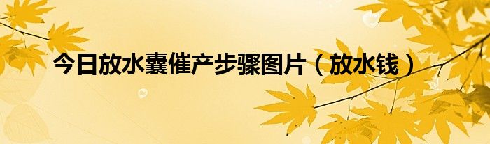 今日放水囊催产步骤图片（放水钱）