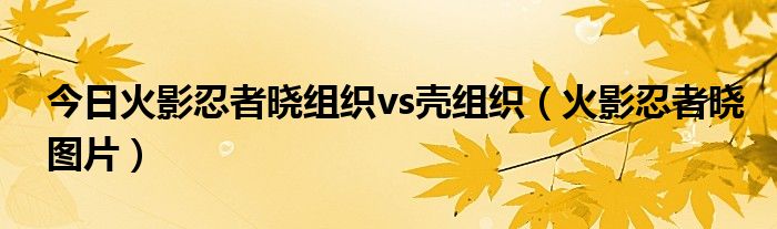 今日火影忍者晓组织vs壳组织（火影忍者晓图片）