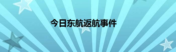 今日东航返航事件