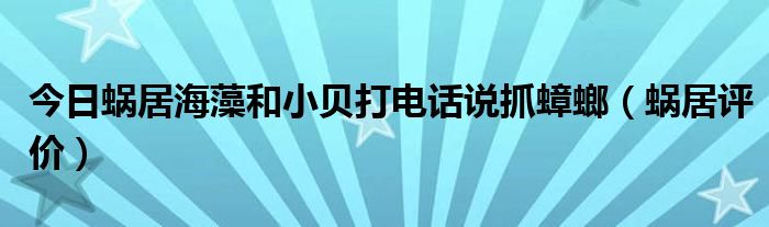 今日蜗居海藻和小贝打电话说抓蟑螂（蜗居评价）