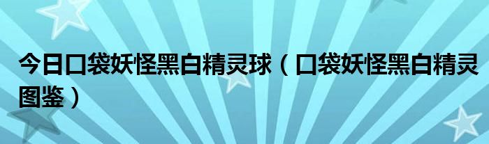 今日口袋妖怪黑白精灵球（口袋妖怪黑白精灵图鉴）