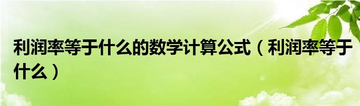 利润率等于什么的数学计算公式（利润率等于什么）