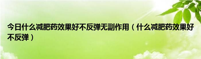 今日什么减肥药效果好不反弹无副作用（什么减肥药效果好不反弹）