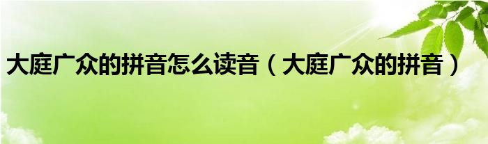 大庭广众的拼音怎么读音（大庭广众的拼音）