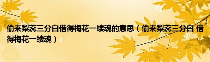 偷来梨蕊三分白借得梅花一缕魂的意思（偷来梨蕊三分白 借得梅花一缕魂）