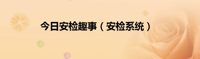 今日安检趣事（安检系统）