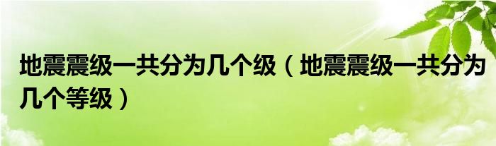 地震震级一共分为几个级（地震震级一共分为几个等级）