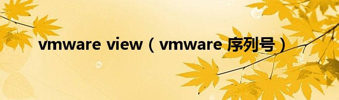 vmware view（vmware 序列号）