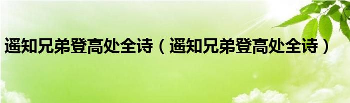 遥知兄弟登高处全诗（遥知兄弟登高处全诗）