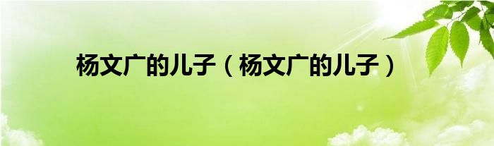 杨文广的儿子（杨文广的儿子）