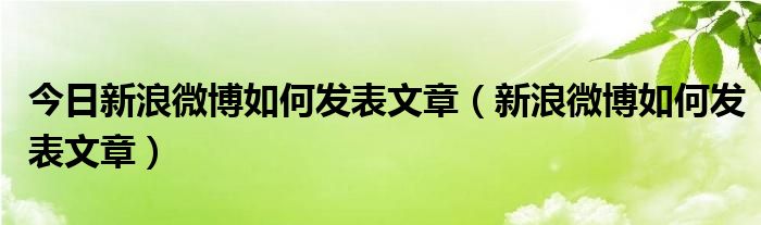 今日新浪微博如何发表文章（新浪微博如何发表文章）