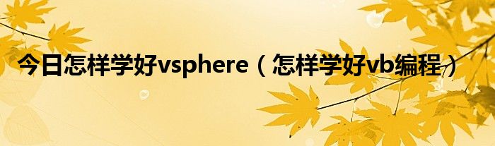 今日怎样学好vsphere（怎样学好vb编程）