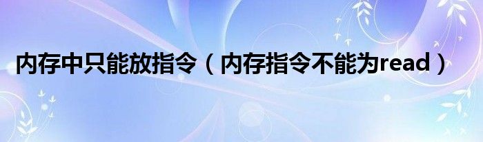 内存中只能放指令（内存指令不能为read）