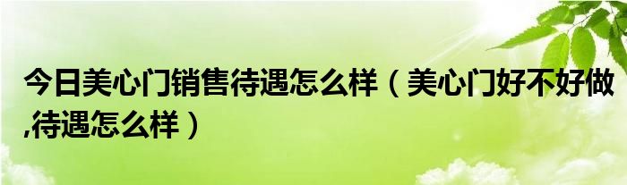 今日美心门销售待遇怎么样（美心门好不好做,待遇怎么样）