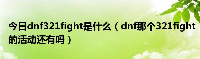 今日dnf321fight是什么（dnf那个321fight的活动还有吗）