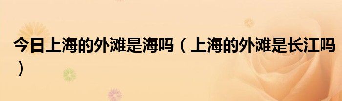 今日上海的外滩是海吗（上海的外滩是长江吗）