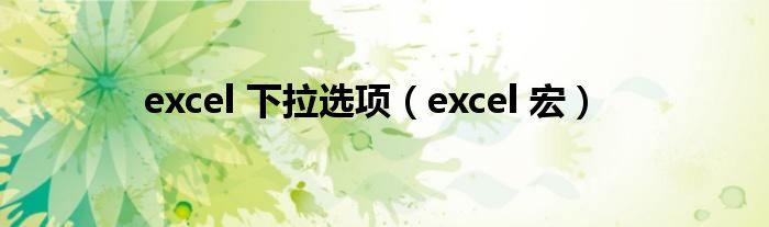 excel 下拉选项（excel 宏）