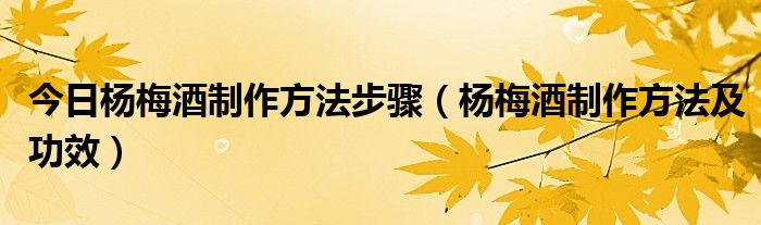 今日杨梅酒制作方法步骤（杨梅酒制作方法及功效）