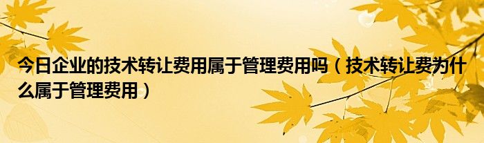 今日企业的技术转让费用属于管理费用吗（技术转让费为什么属于管理费用）