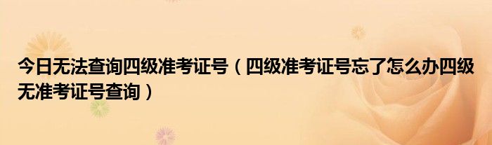 今日无法查询四级准考证号（四级准考证号忘了怎么办四级无准考证号查询）