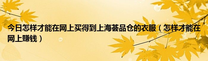 今日怎样才能在网上买得到上海荟品仓的衣服（怎样才能在网上赚钱）