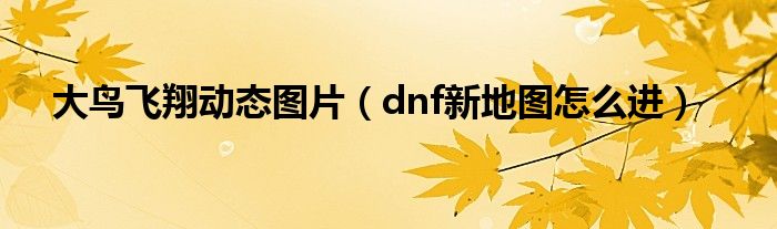 大鸟飞翔动态图片（dnf新地图怎么进）