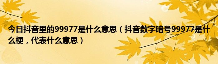 今日抖音里的99977是什么意思（抖音数字暗号99977是什么梗，代表什么意思）