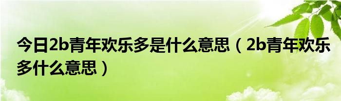 今日2b青年欢乐多是什么意思（2b青年欢乐多什么意思）