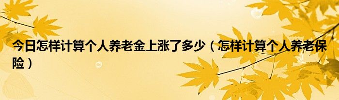 今日怎样计算个人养老金上涨了多少（怎样计算个人养老保险）