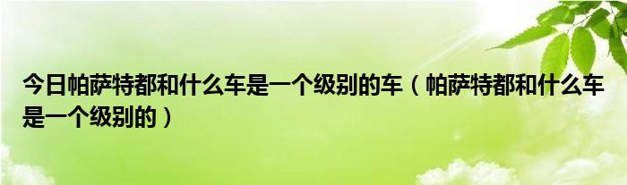 今日帕萨特都和什么车是一个级别的车（帕萨特都和什么车是一个级别的）