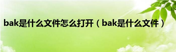 bak是什么文件怎么打开（bak是什么文件）