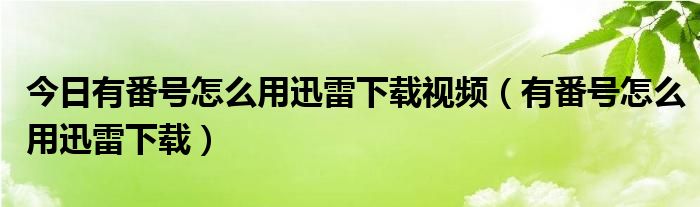 今日有番号怎么用迅雷下载视频（有番号怎么用迅雷下载）