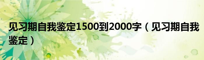 见习期自我鉴定1500到2000字（见习期自我鉴定）