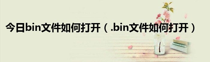 今日bin文件如何打开（.bin文件如何打开）