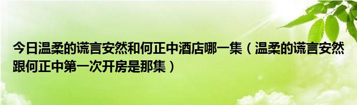 今日温柔的谎言安然和何正中酒店哪一集（温柔的谎言安然跟何正中第一次开房是那集）