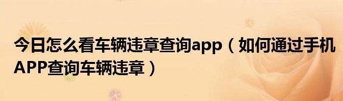 今日怎么看车辆违章查询app（如何通过手机APP查询车辆违章）