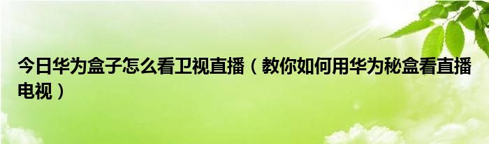 今日华为盒子怎么看卫视直播（教你如何用华为秘盒看直播电视）