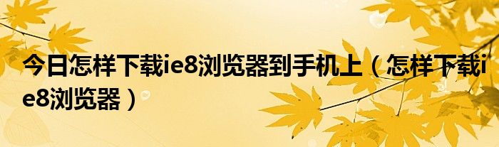 今日怎样下载ie8浏览器到手机上（怎样下载ie8浏览器）