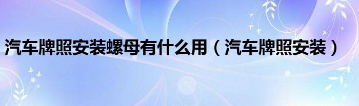 汽车牌照安装螺母有什么用（汽车牌照安装）