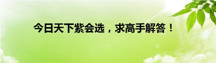 今日天下紫会选，求高手解答！